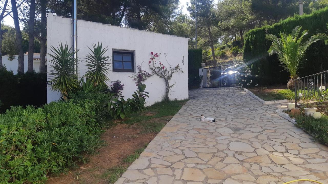 Ferienwohnung Mit Privat-Pool Alcoceber Exterior foto
