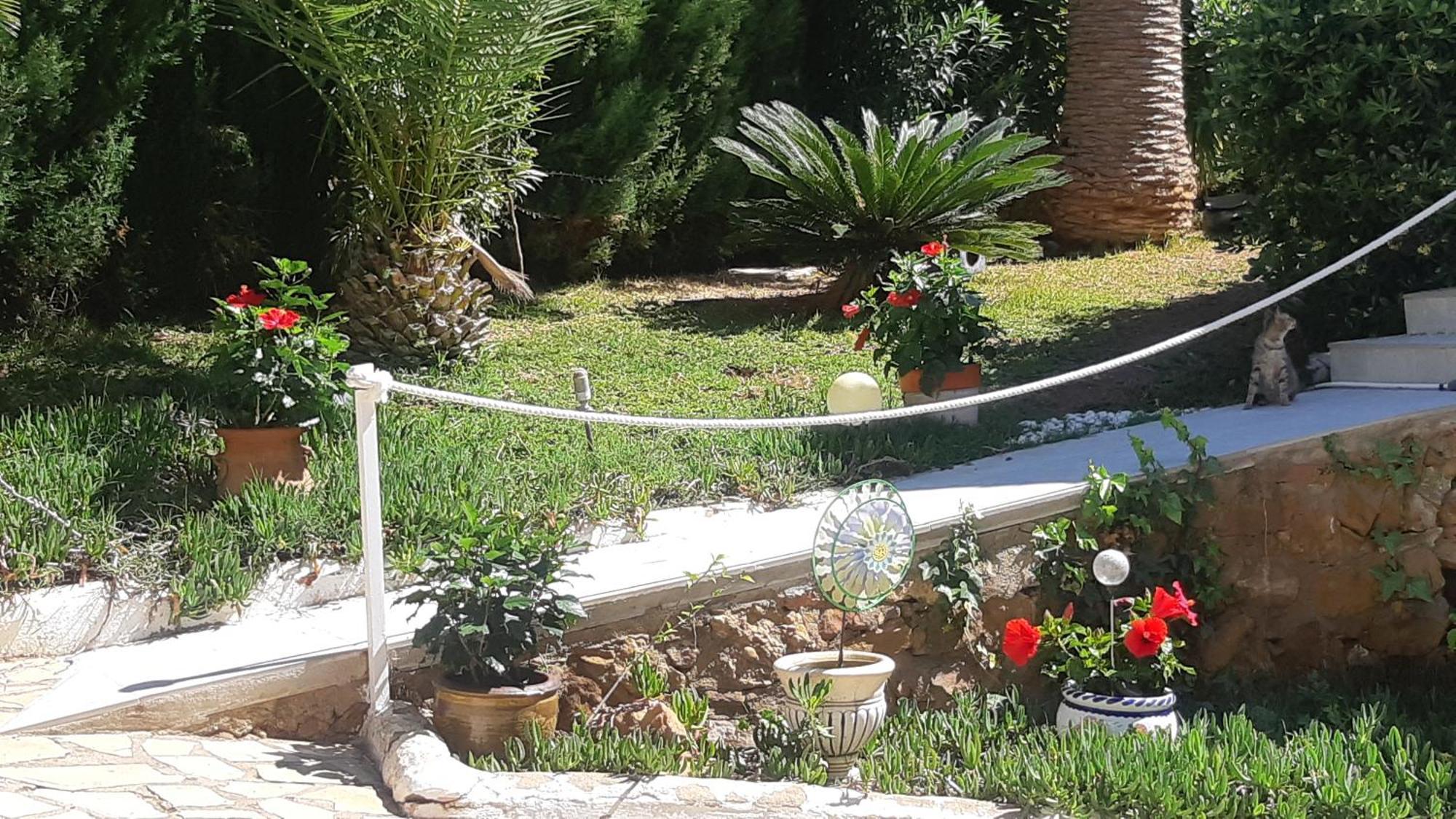 Ferienwohnung Mit Privat-Pool Alcoceber Exterior foto