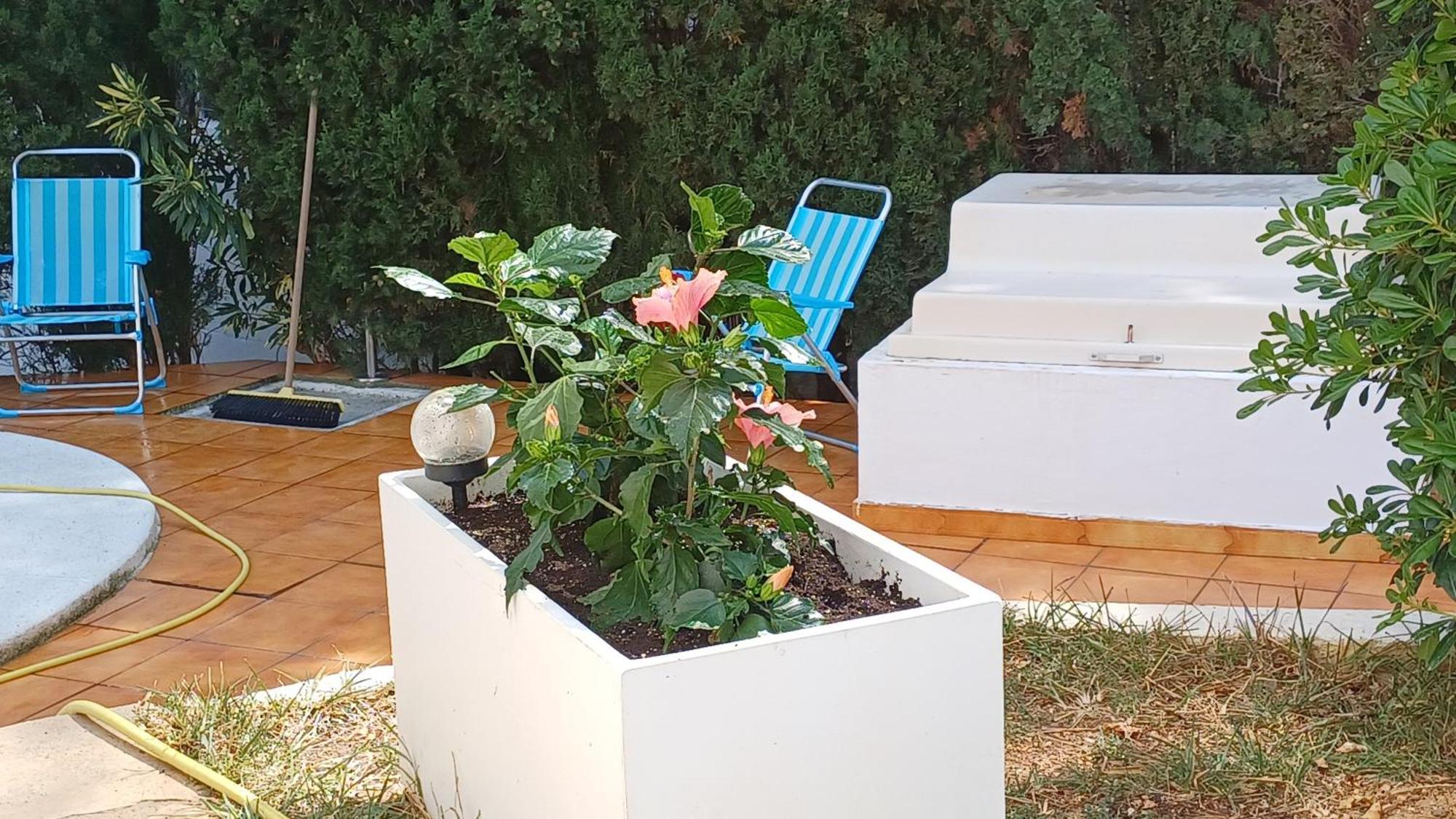 Ferienwohnung Mit Privat-Pool Alcoceber Exterior foto
